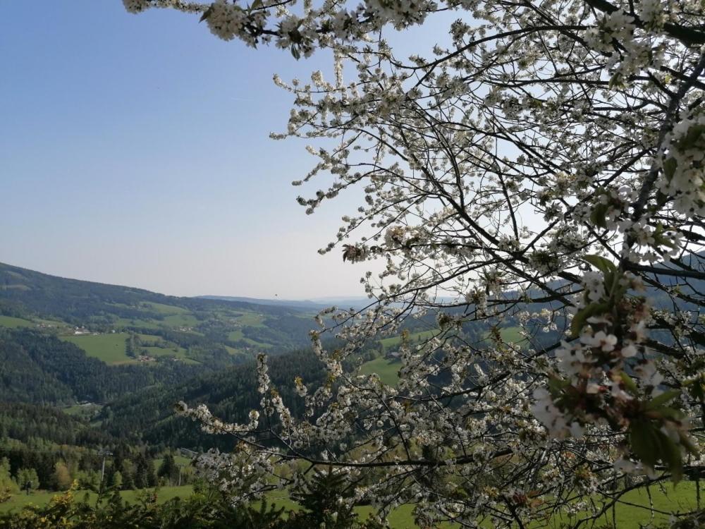 Alpengasthof Fernblick Moenichkirchen Ngoại thất bức ảnh